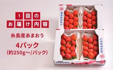 【先行受付】【全2回定期便】 糸島産【冬】 あまおう 4パック 毎月計1kg 【2026年12月上旬以降順次発送】 糸島市 / 南国フルーツ株式会社 [AIK024]