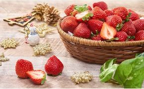 【冬】 あまおう いちご 約250～270g×4パック 【2025年12月上旬～2026年1月下旬発送予定】 大粒