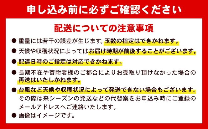 【2027年発送】【先行予約】 沖縄県産パッションフルーツ (1kg箱入り)／南国フルーツ 国産 果物 ギフト 産地直送 お取り寄せ 沖縄産 沖縄市 / ちゃんぷる～市場 [BCAA009]