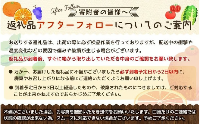 【2026年先行予約】【ご家庭用】 岡山の『ニューピオーネ』 3房～４房 (2kg前後 化粧箱入) Lino＆Kai Farm / 朝採れ ぶどう 岡山 真庭市 ピオーネ 高級 ギフト 大粒 果物 贈答 人気 産地直送 国産 数量限定 種なし 【linokai005-02】