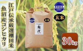 【令和8年産 先行予約】【玄米】江戸伝承厳選棚田米魚沼産コシヒカリ30kg