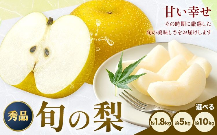 おまかせ梨 秀品 選べる内容量 約1.8kg 約5kg 約10kg 日本フルーツ[8月上旬-10月末頃出荷]熊本県 長洲町 なし 梨 果物 フルーツ デザート ギフト ご贈答 ---sn_cnfomn_af810_25_10000_1800g---