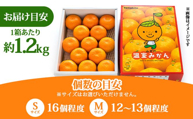 みかん 定期便 【３回定期便】山北温室みかん1.2kg Wku-0060