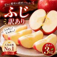 りんご 訳あり 3kg 果物 フルーツ わけあり 不揃い 規格外 ご家庭用 宮城県 大河原町 産地直送 林檎 リンゴ くだもの 先行予約 送料無料