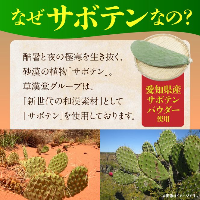 和漢サボテンのど飴　3袋 ［103S14］ 和漢 サボテン のど飴 草漢堂 オリジナル サボテンパウダー入り ノンシュガー 着色料不使用 個包装 島川あめ店 コラボ 飴 キャンディー おかし お取り寄せ 愛知県 小牧市 送料無料