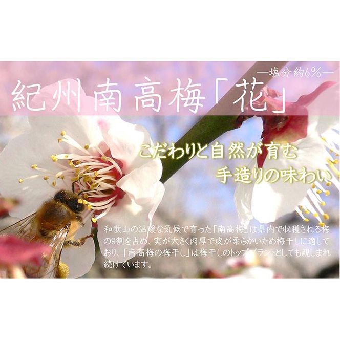 【定期便/2か月ごと/全5回】紀州南高梅「花」塩分約6％（850g）