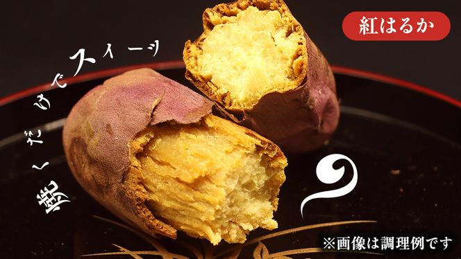 さつまいも【紅はるか】10kg（箱込）の 5kg 2箱セット さつまいも 詰合せ 国産 農園 野菜 サツマイモ 芋 期間限定 デザート スイーツ おやつ プチギフト 贈答用 料理 味噌汁 煮物 生芋 [EJ014us]