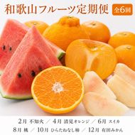 〈定期便〉【2・4・6・8・10・12月 全6回】和歌山産 旬のフルーツ お楽しみ 定期便 【魚鶴】◆｜不知火 清見 スイカ 桃 みかん フルーツ ふるーつ 果物 くだもの 詰め合わせ 果物定期便 オレンジ もも かき 国産 産地直送 美浜町