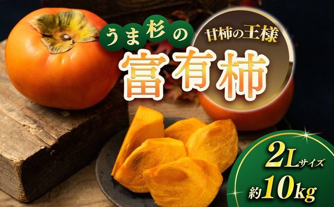 【先行予約】うま杉の富有柿 10kg 36玉(2L) ※2026年11月中旬～12月中旬頃に順次発送予定