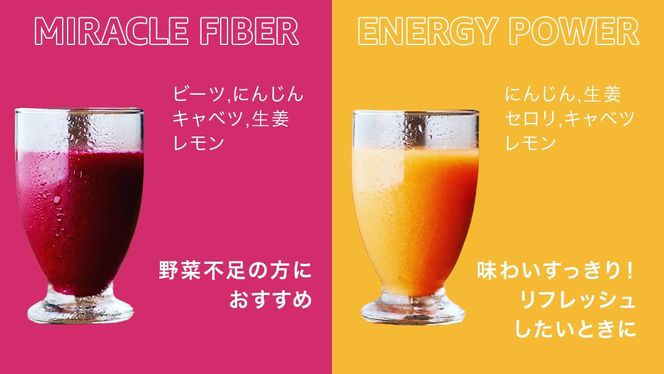 【1日ファスティングに最適】1day fasting コールドプレスジュース 6本セット 360ml×6種 酵素たっぷり 新鮮 野菜 果物使用