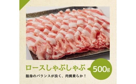 【12ヶ月定期便】宮崎県産豚肉バラエティ4種セット2.5kg【 肉 豚 豚肉 ロース バラ 切り落とし 】[D07502t12]