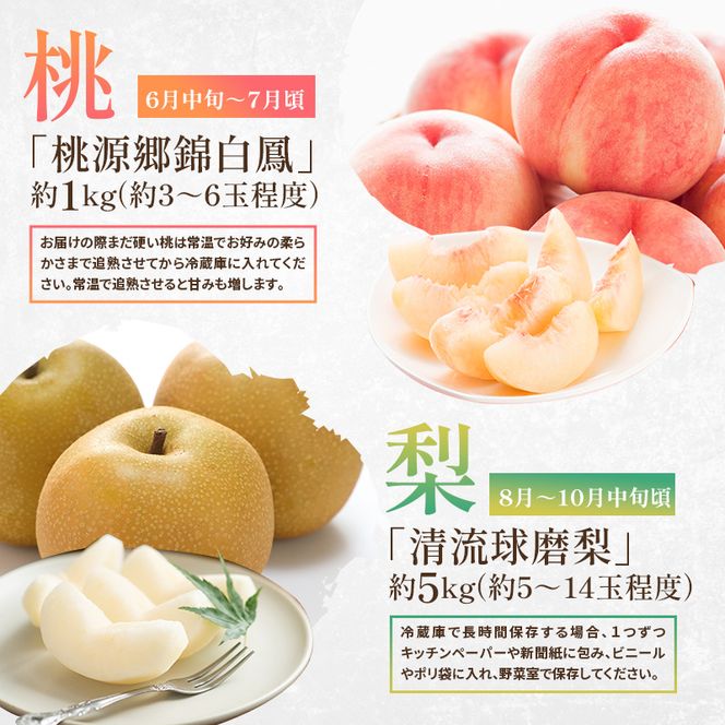 定期便 2回 先行予約 【 桃 白桃 6～7月頃 梨 8～10月頃 】白鳳 特製桃源郷錦 約1kg、清流錦梨 約5kg もも モモ なし フルーツ 果物 デザート お楽しみ 2026年発送 配送不可:離島 