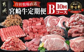 宮崎牛定期便(10回お届け) Bコース_N25-002-T10 宮崎牛 肩ロース サーロイン モモ ロース バラ カルビ 赤身 リブロース スライス ステーキ サイコロ 切り落とし 鉄板焼き 味噌漬け