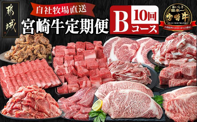 宮崎牛定期便(10回お届け) Bコース_N25-002-T10 宮崎牛 肩ロース サーロイン モモ ロース バラ カルビ 赤身 リブロース スライス ステーキ サイコロ 切り落とし 鉄板焼き 味噌漬け