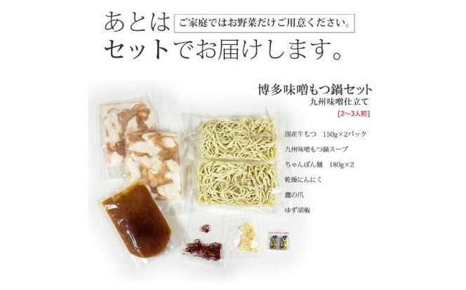【全12回定期便】博多もつ鍋セット(九州味噌仕立て) 2〜3人前 国産牛もつ300g《築上町》【株式会社ベネフィス】[ABDF138]