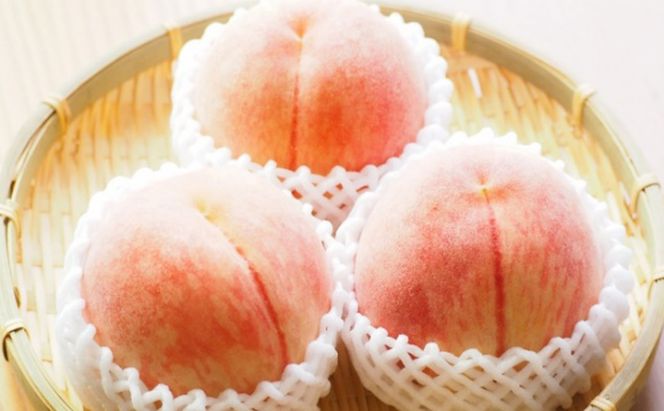 桃 2026年 先行予約 特選 岡山の白桃 7～9玉 約2kg 晩生種 もも モモ 岡山県産 国産 フルーツ 果物 ギフト いろは堂 