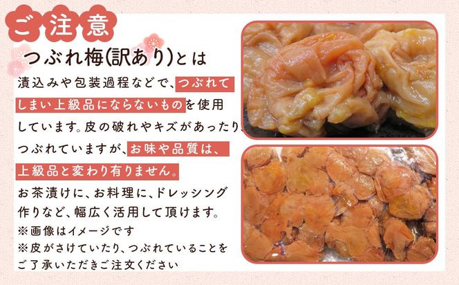 訳ありつぶれ梅干し しそ 合計700g （350g×2パック） 塩分 10％［TR13w］ 304018_CS006