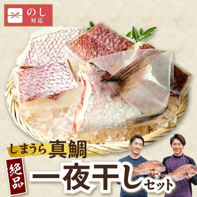 飼育期間中無投薬！しまうら真鯛「絶品一夜干しセット」 N0148-YA2236