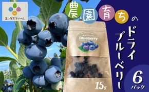 【無添加・砂糖不使用】農家が本気で作ったドライブルーベリー（15g×6パック） ドライフルーツ 乾燥 自然派 シンプル やさしい 甘酸っぱい H164-014