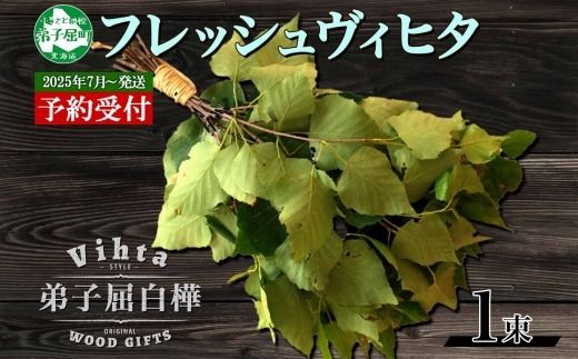 2025年 7月以降順次発送 1510. フレッシュ 白樺 ヴィヒタ 1束 北海道 白樺 ヴィヒタ アロマ ウィスク インテリア サウナグッズ サウナ テントサウナ 北海道 弟子屈町 10000円