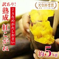 【訳あり】行方かんしょ「紅こがね」さつまいも約5kg（洗い・不揃い・C品）｜さつまいも 芋 わけあり 訳あり 焼芋 やきいも 紅こがね 茨城県 行方市 人気 送料無料(AE-108)