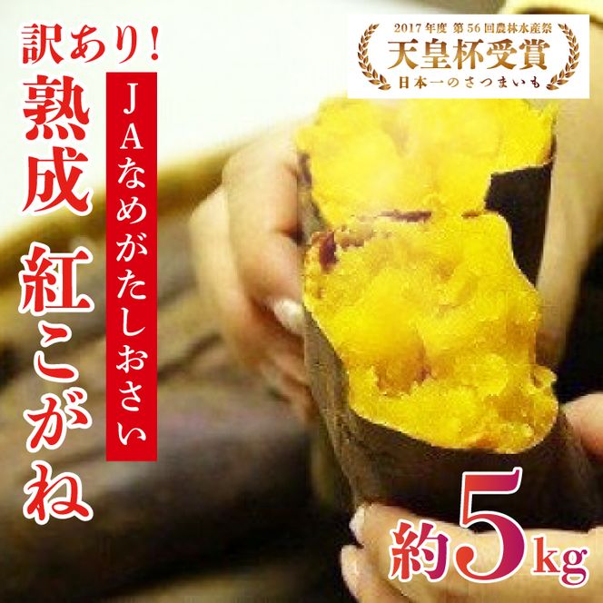 【訳あり】行方かんしょ「紅こがね」さつまいも約5kg（洗い・不揃い・C品）｜さつまいも 芋 わけあり 訳あり 焼芋 やきいも 紅こがね 茨城県 行方市 人気 送料無料(AE-108)