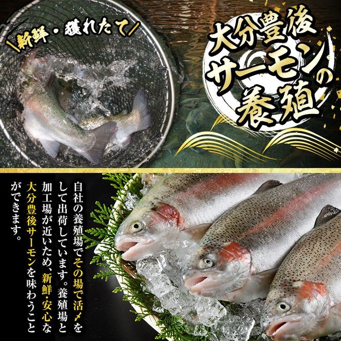 大分豊後サーモン 切り身(計6切) 魚 鮮魚 切身 無塩 冷凍 佐伯 養殖 国産 個包装 大分県 佐伯市【EA28】【(株)トーワ】