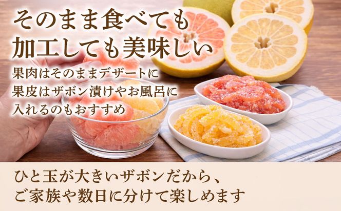 【先行予約】 【訳あり】 八代ザボン (赤肉または白肉) 約5kg (3～6玉)  果物 くだもの 果汁 柑橘 おやつ フルーツ デザート 熊本県 八代市 【2026年11月上旬より順次発送】