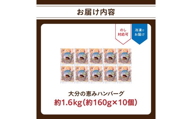 【A05067】大分の恵みハンバーグ約1.6㎏（約160g×10個）