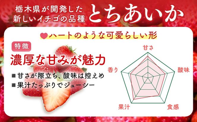 【先行予約】出会いの森いちご園 とちあいか （290g×2パック） | いちご イチゴ 苺 栃木県 果物 くだもの フルーツ とちあいか 新鮮 贈答 ギフト デザート スイーツ ※離島への配送不可 ※2026年12月上旬頃から2027年3月下旬頃に順次発送予定