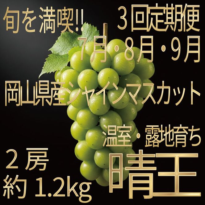 [HS]【定期便全3回】ぶどう先行予約7月・8月・9月発送温室シャインマスカット晴王2房（合計約1.2kg）ブドウ 葡萄  岡山県産 国産 フルーツ 果物 ギフト デザート 食後 酸味が少ない 産地直送