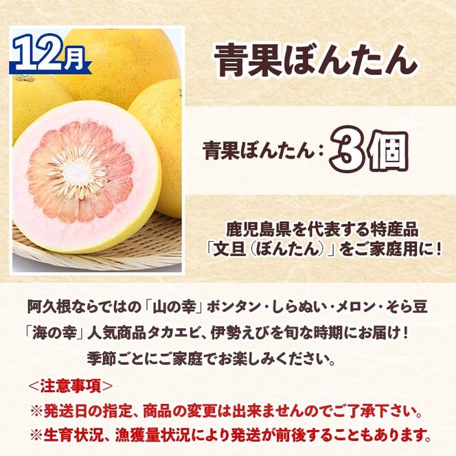 ＜定期便・全6回(偶数月)＞阿久根市の山の幸・海の幸！不知火・そら豆・タカエビ・メロン・伊勢えび・ぼんたんなど)国産 柑橘 みかん フルーツ 果物 魚介 頒布会【松永青果】akn053-38