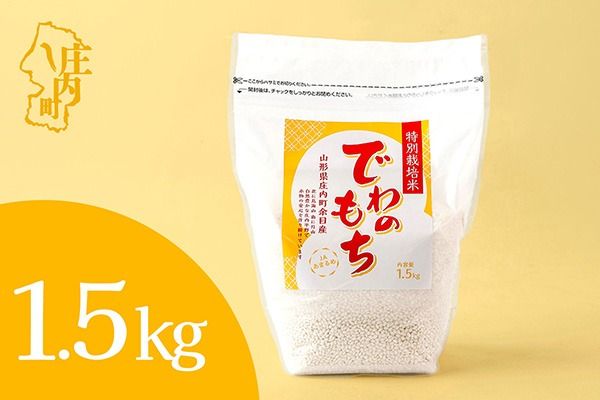 特別栽培米 庄内産 でわのもち 1.5kg×1袋 もち米 令和7年産 2025年産 JAあまるめ 国産 単一原料米 山形 庄内平野 コシヒカリの原点、亀の尾発祥の地 庄内米 もち 餅