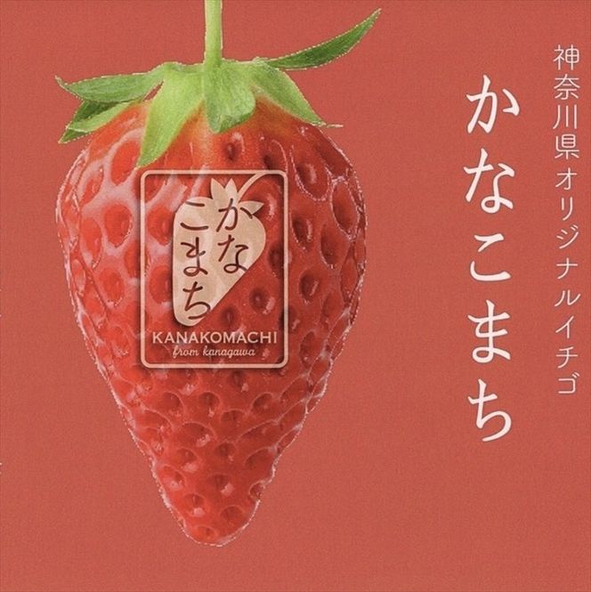 77-3181　「先行予約」神奈川県新品種「かなこまち＆さちのか」食べ比べセット　完熟イチゴ　苺　4パック入り　　〈出荷時期：2025年1月7日出荷開始～2025年3月14日出荷終了〉【いちご イチゴ 完熟 贈答用 贈答品 家庭用 自宅用 おすそ分け 神奈川県 小田原市 】