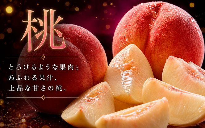 【全3回】紀州和歌山産旬のフルーツ定期便 (桃・ピオーネ・ひらたねなし柿)【tkb371】