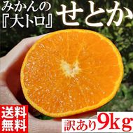 せとか みかんの大トロ 約9kg 訳あり ブランド 和歌山 有田 みかん 農家直送 オレンジ フルーツ 果物 CE058