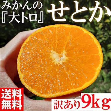 みかん の大トロ せとか 約9kg S～LLサイズ混合 訳あり ブランド 和歌山 有田 みかん 農家直送 オレンジ フルーツ 果物 CE058