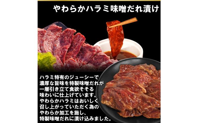 焼肉3種盛りセット(ハラミ・カルビ・マルチョウ)3kg 372013_KA051