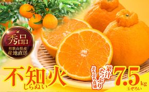 MK1009_不知火 (しらぬい) 秀品 玉ぞろい 箱込 7.5kg (内容量約6.8kg) 