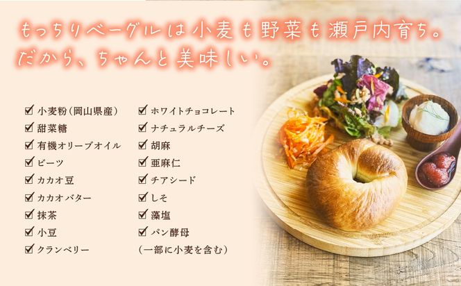 もっちり ベーグル 10個 セレクトセット プレーン ビーツチョコ 抹茶 あんこ クランベリーホワイトチョコ たね しそ チーズ べーぐる パン おやつ 朝食 もちもち HUTTE ヒュッテ  瀬戸内市 岡山
