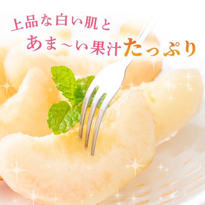 桃 2026年 先行予約 岡山の 白桃 大玉3玉（晩生種）（1玉約300g） もも モモ 岡山県産 国産 フルーツ 果物 ギフト