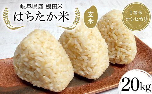 y򕌌Ðsz򕌌Y Ic 1ăRVqJ ͂ 20kgi10kg×2܁j F4N-2640