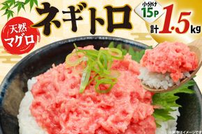 ネギトロ まぐろ 1.5kg 15パック セット [大黒物産株式会社 福岡県 宇美町 um40bak830036] マグロ 鮪 ねぎとろ まぐろたたき まぐろのたたき ご飯 海鮮 魚介 惣菜 お惣菜 おかず おつまみ ネギトロ丼 丼 丼物 冷凍 小分け