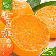 G7349_【2027年先行予約】とろける食感！ジューシー柑橘 せとか 2.5kg