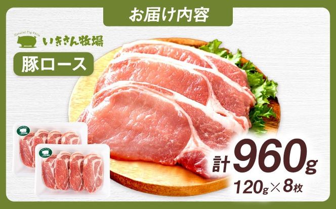 一貴山豚 ロースとんかつ・トンテキ用 計960g(120g×8枚) 糸島市 / いきさん牧場 豚肉 冷凍[AGB031] 豚肉 豚 ブランド豚 一貴山豚 ポーク ロース 生姜炒め ポークジンジャー