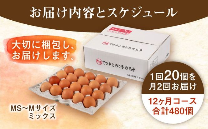 《月2回×20個 12ヶ月コース》てつやとのりこの玉子 全24回定期便 糸島市 / 板垣ファーム [AWD014]