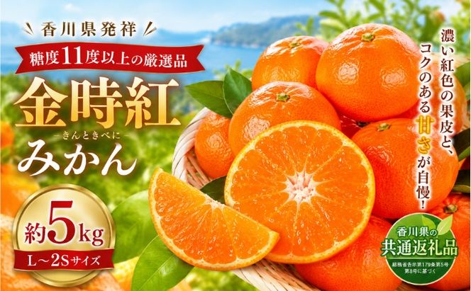金時紅みかん  約5kg フルーツ みかん 果物 香川県 土庄町