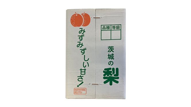 【 2025年9月上旬発送開始 】 茨城県産 梨 秋月 （約 5kg ） 10～16玉 フルーツ 果物 なし ナシ 旬 新鮮 期間限定 甘い 国産 先行予約 [CL004us]