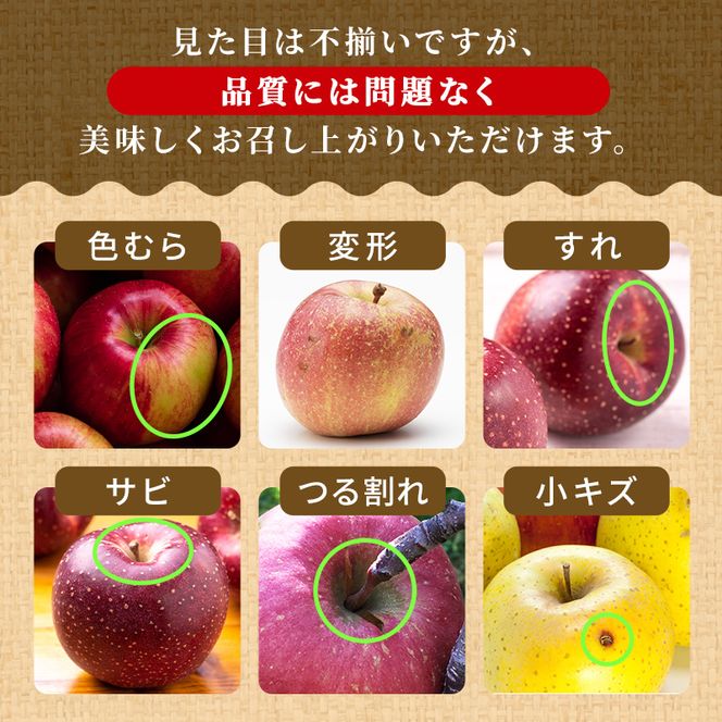 りんご【11月発送】糖度13度以上 訳あり 家庭用 ぐんま名月 約10kg【青森りんご】