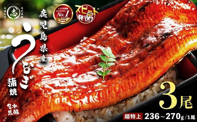 【志布志市制20周年記念】【10営業日以内に発送】【数量限定】鹿児島県産うなぎ蒲焼 名水慈鰻 超特上 3尾(1尾あたり236~270g)＜計750g以上＞ b2-049
